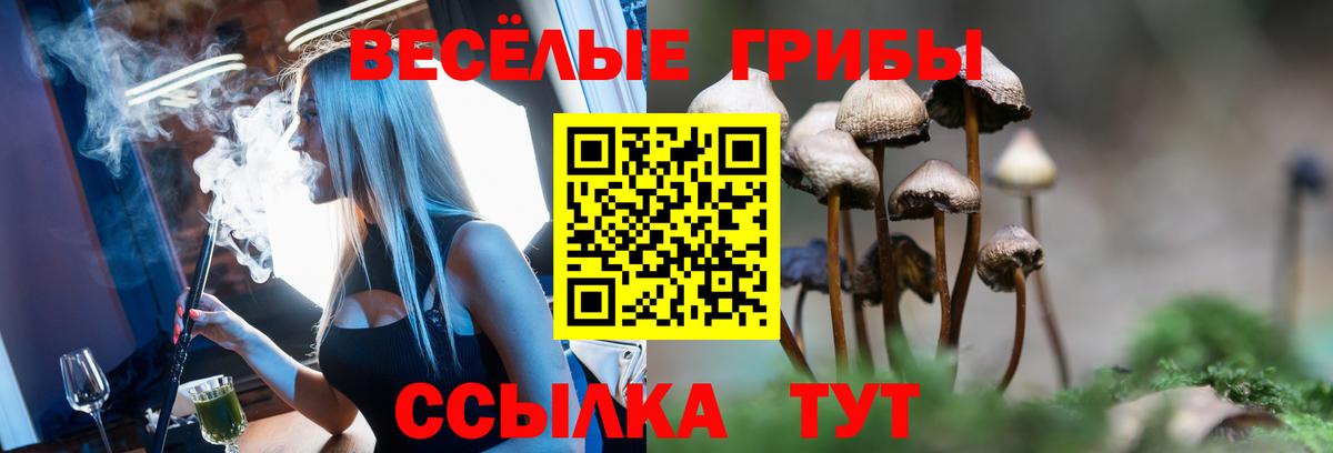 Дзержинск  Галлюциногенные грибы мухоморы  Псилоцибиновые грибы Psilocybine cubensis  Вход с VPN 
